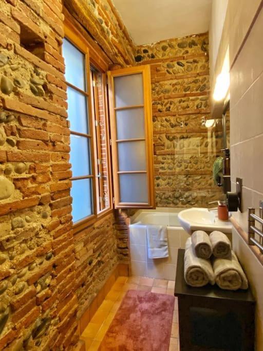 Cocon Cosy Dans La Ville Rose Тулуза Екстериор снимка
