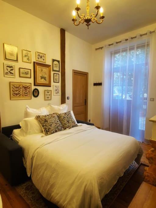 Cocon Cosy Dans La Ville Rose Тулуза Екстериор снимка